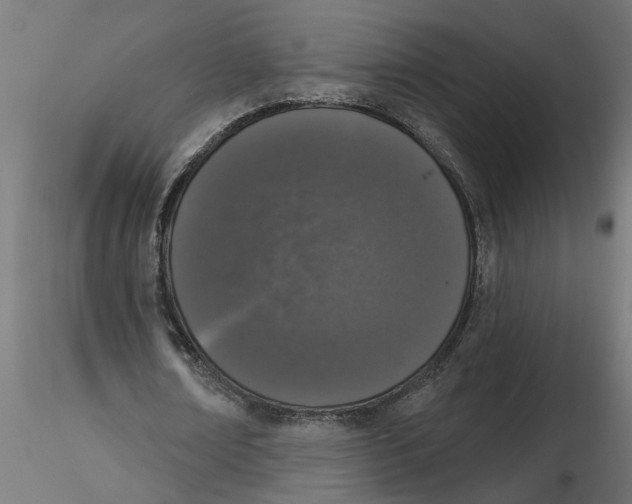 X0000116770674201001071217