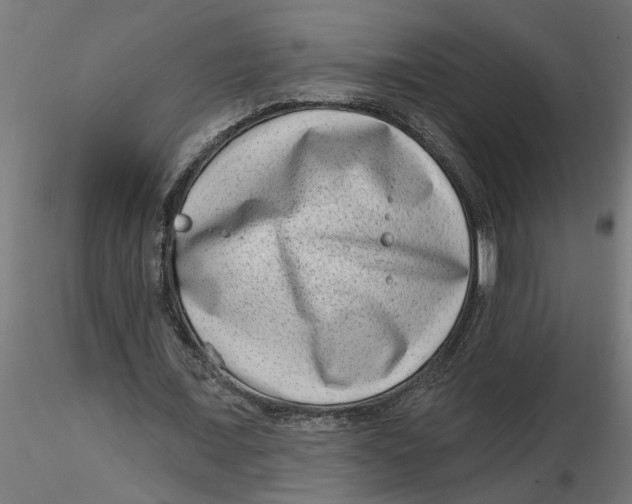 X0000116770675201001071217