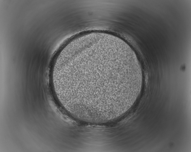 X0000116770676201001071217