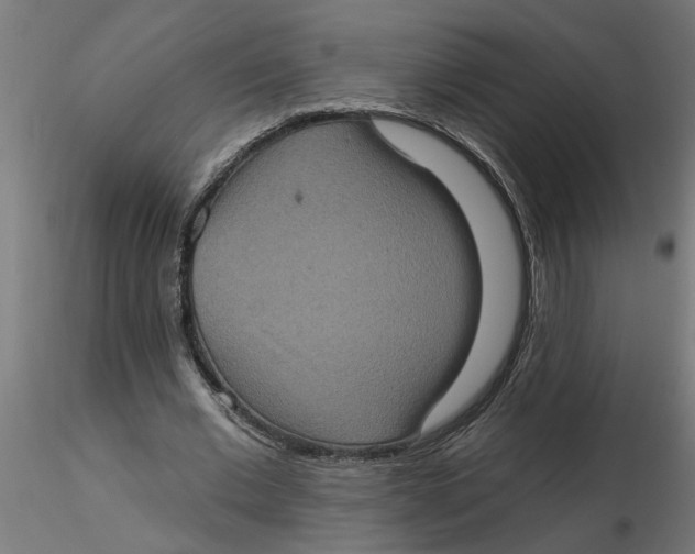 X0000116770677201001071217