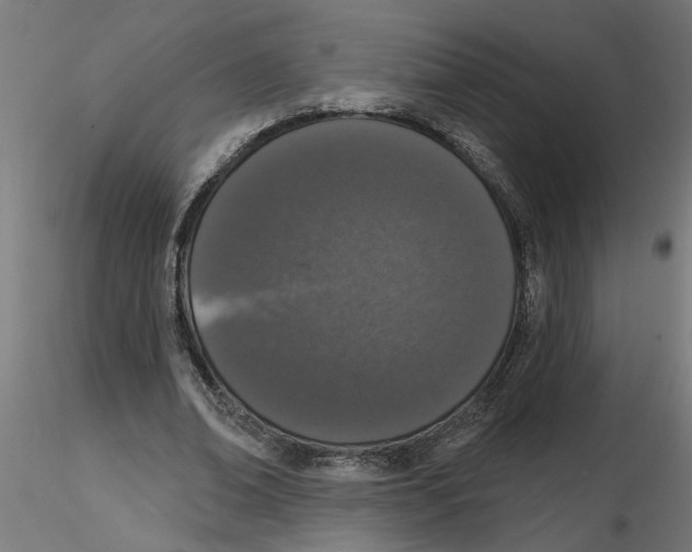 X0000116770678201001071217