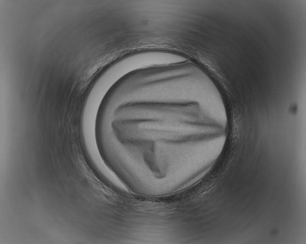 X0000116770681201001071216