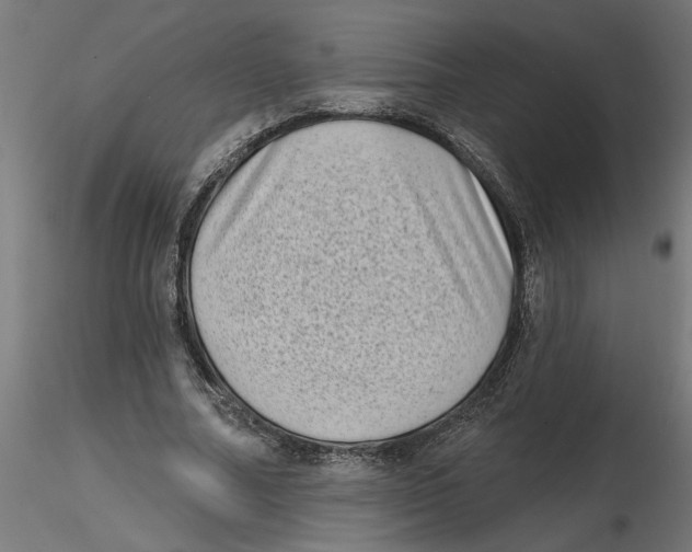 X0000116770682201001071216