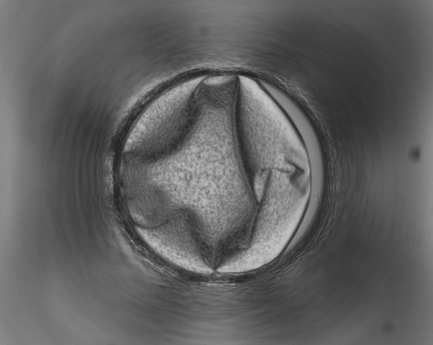 X0000116770684201001071216