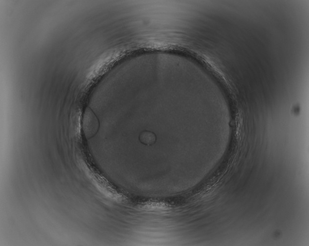 X0000116770685201001071216