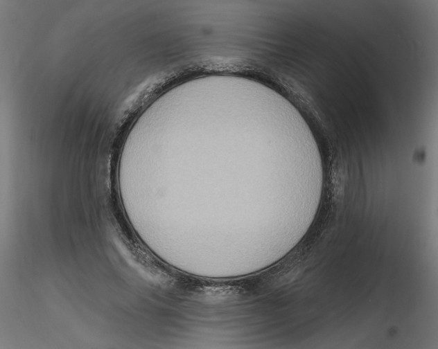 X0000116770686201001071216