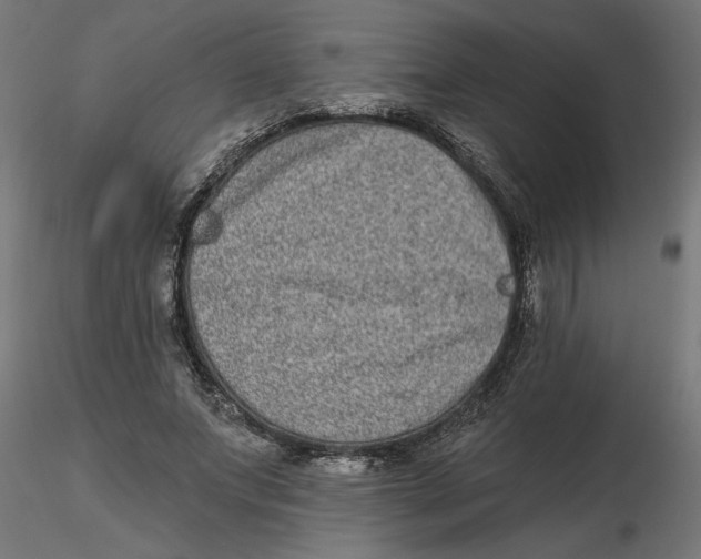 X0000116770687201001071216