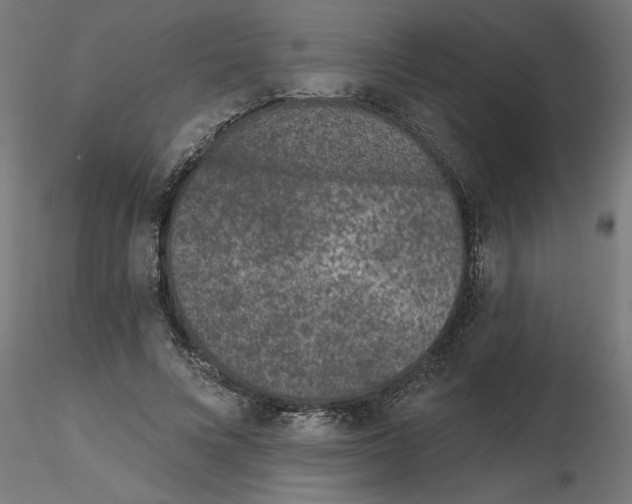 X0000116770688201001071216