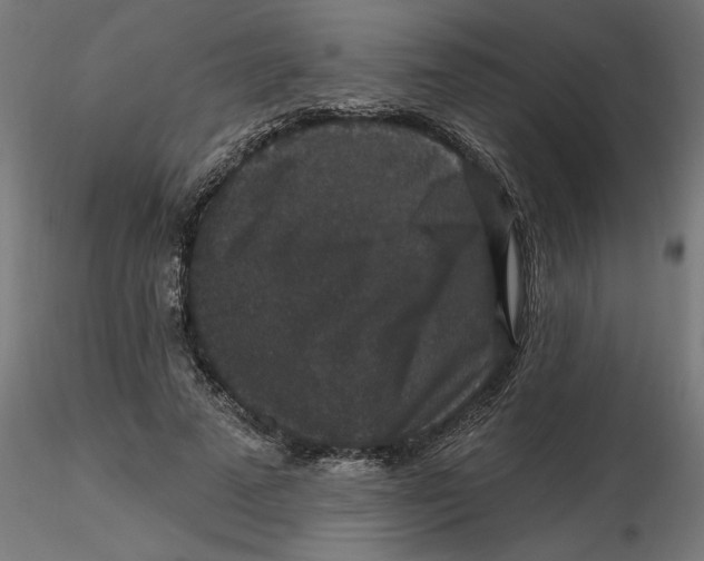 X0000116770689201001071216