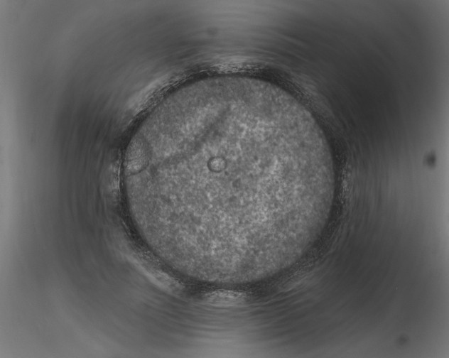 X0000116770691201001071216