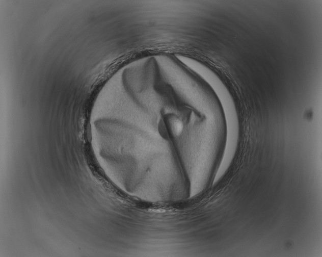 X0000116770693201001071216