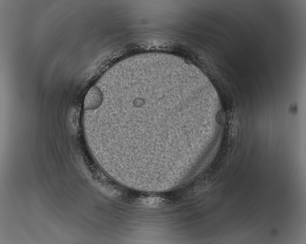 X0000116770695201001071216