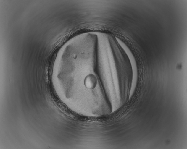 X0000116770696201001071216