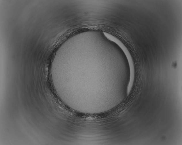 X0000116770697201001071216