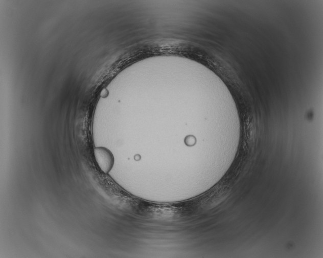 X0000116770698201001071216