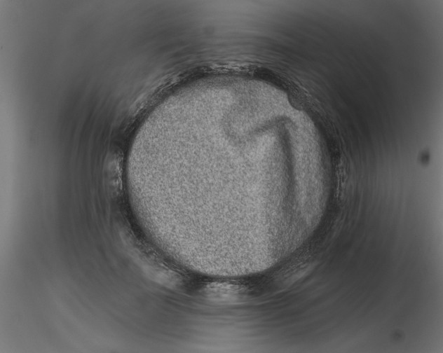 X0000116770699201001071216