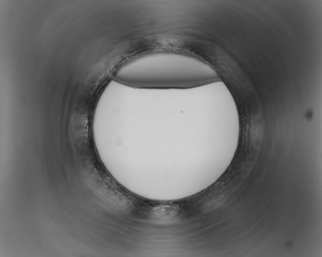 X0000116770700201001071216