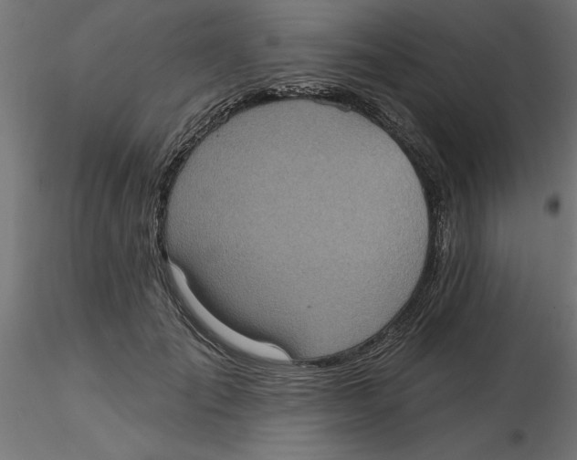 X0000116770701201001071216