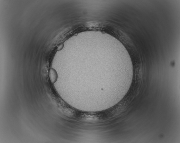 X0000116770702201001071216