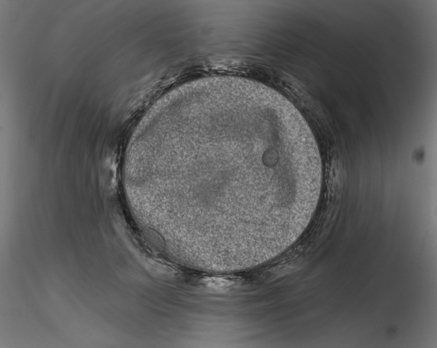 X0000116770703201001071216