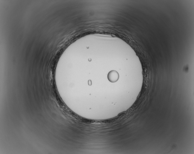 X0000116770704201001071216