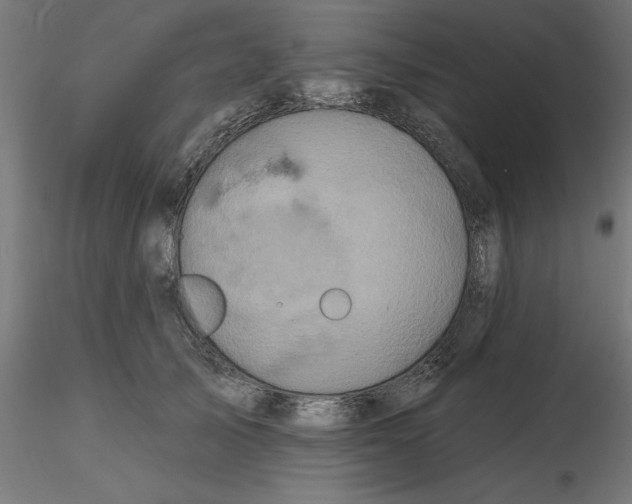 X0000116770705201001071216