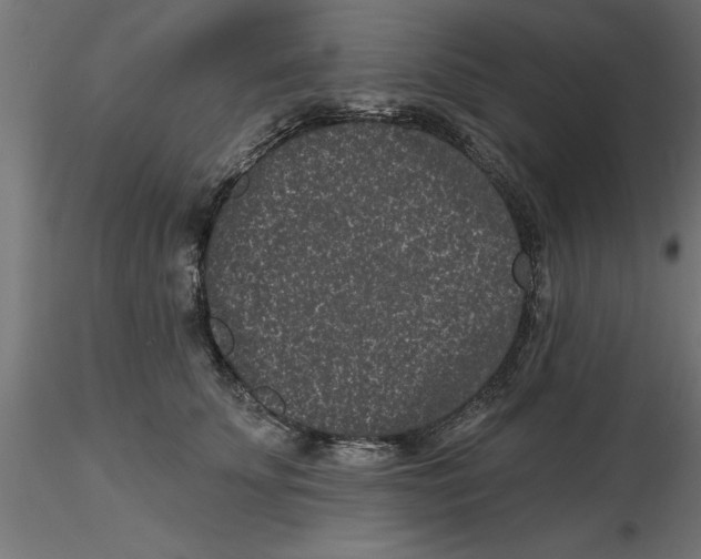 X0000116770707201001071216