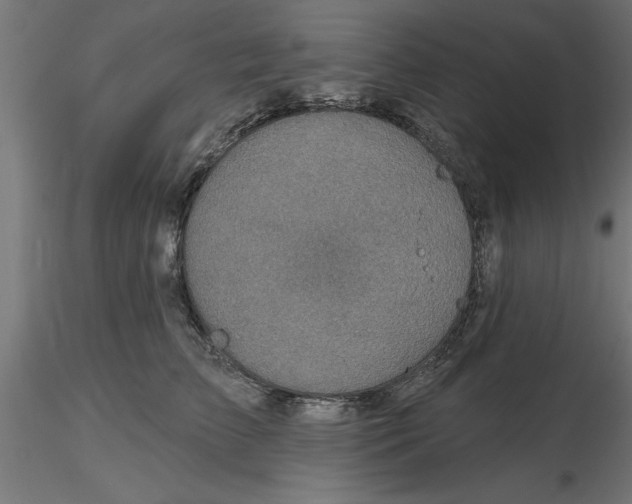 X0000116770709201001071216