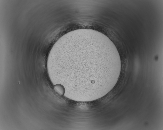 X0000116770710201001071216