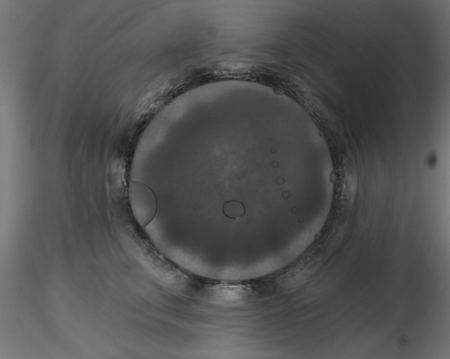 X0000116770711201001071216