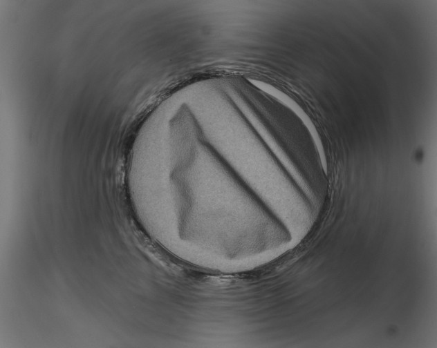 X0000116770713201001071216