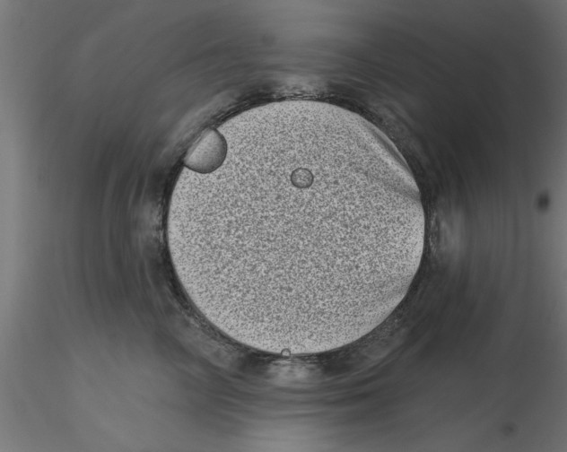 X0000116770714201001071216