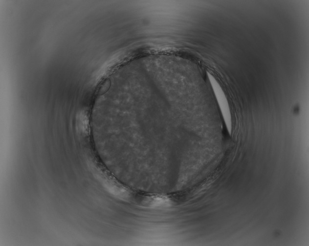 X0000116770715201001071216