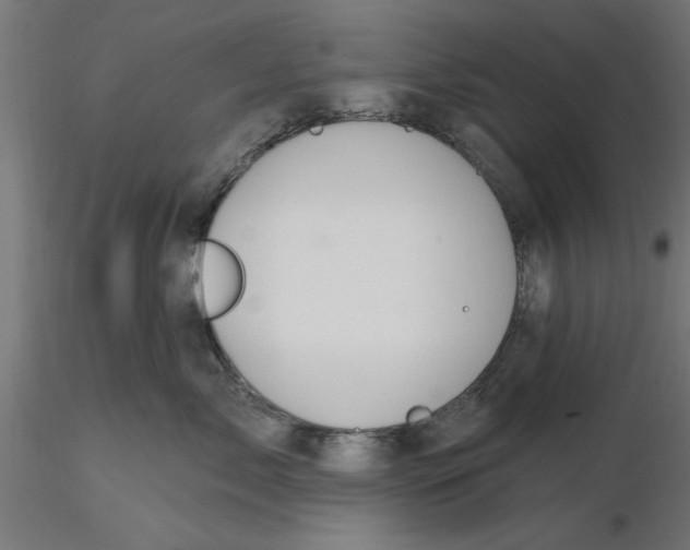 X0000116770717201001071216