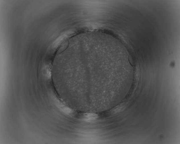 X0000116770719201001071216