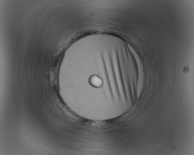 X0000116770720201001071216