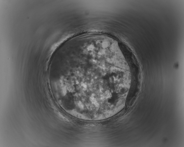 X0000116770721201001071215