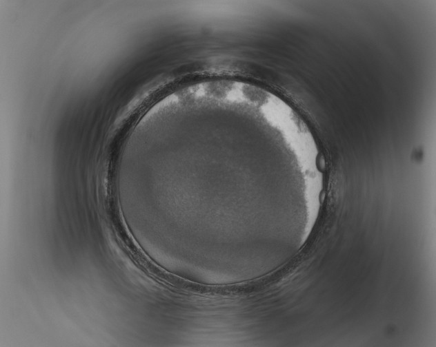 X0000116770722201001071215