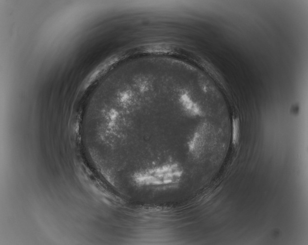 X0000116770723201001071215