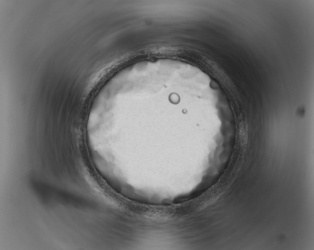 X0000116770725201001071215