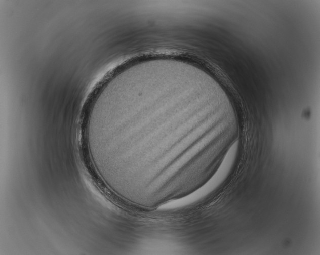 X0000116770726201001071215