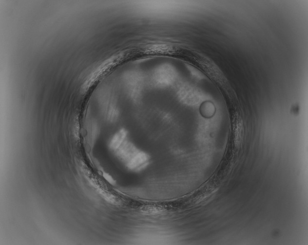 X0000116770729201001071215