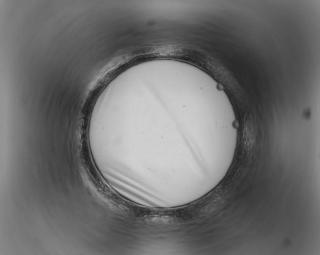 X0000116770730201001071215