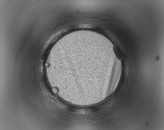 X0000116770731201001071215