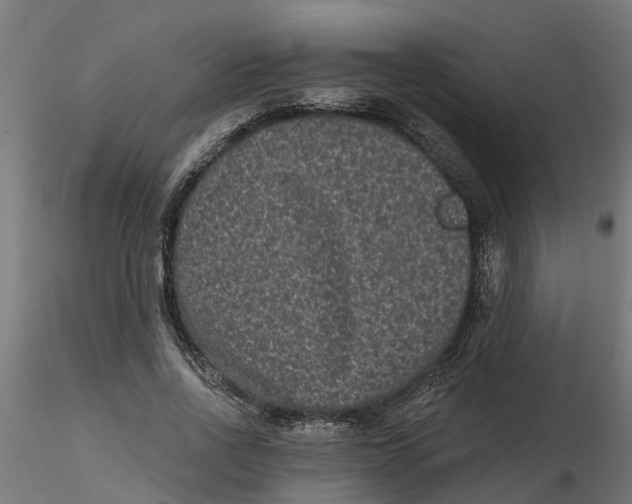 X0000116770734201001071215