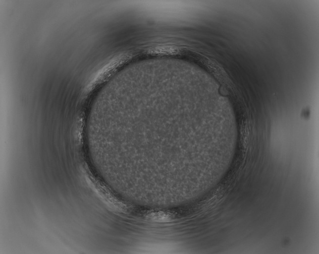 X0000116770735201001071215