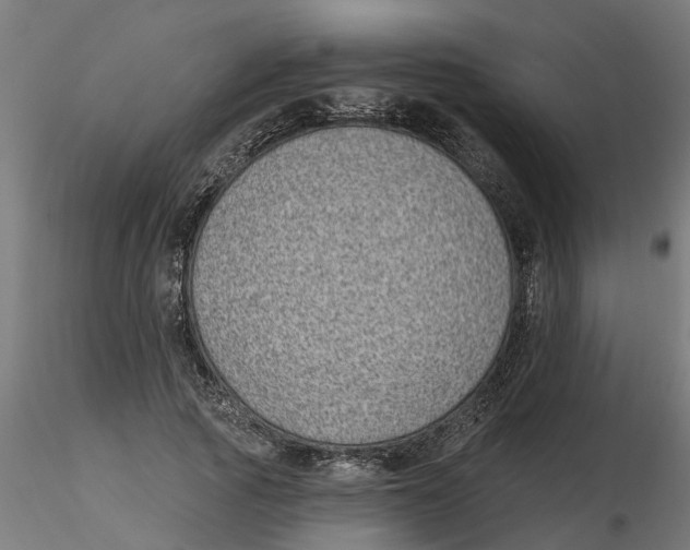 X0000116770737201001071216