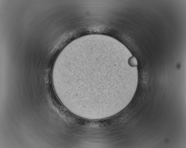 X0000116770738201001071216