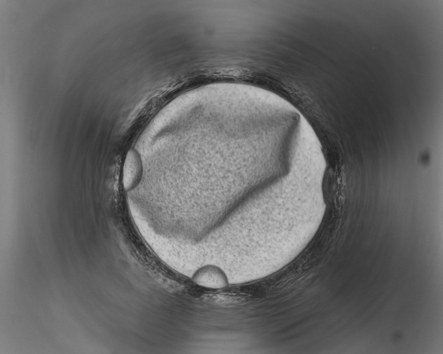 X0000116770739201001071216