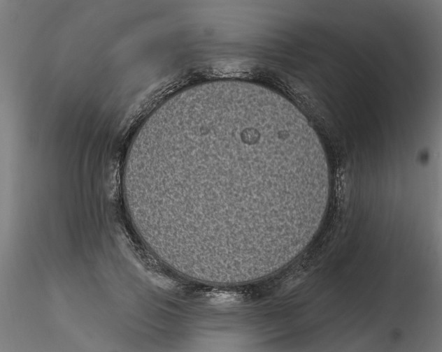 X0000116770741201001071216